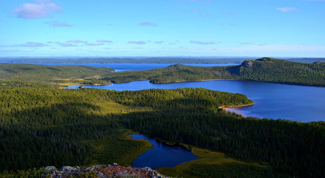 Terra Nova